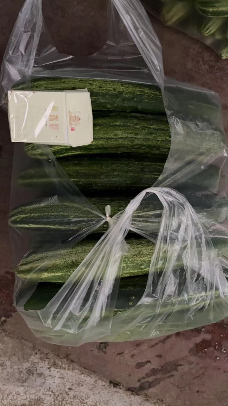 燕白黄瓜大量供应中