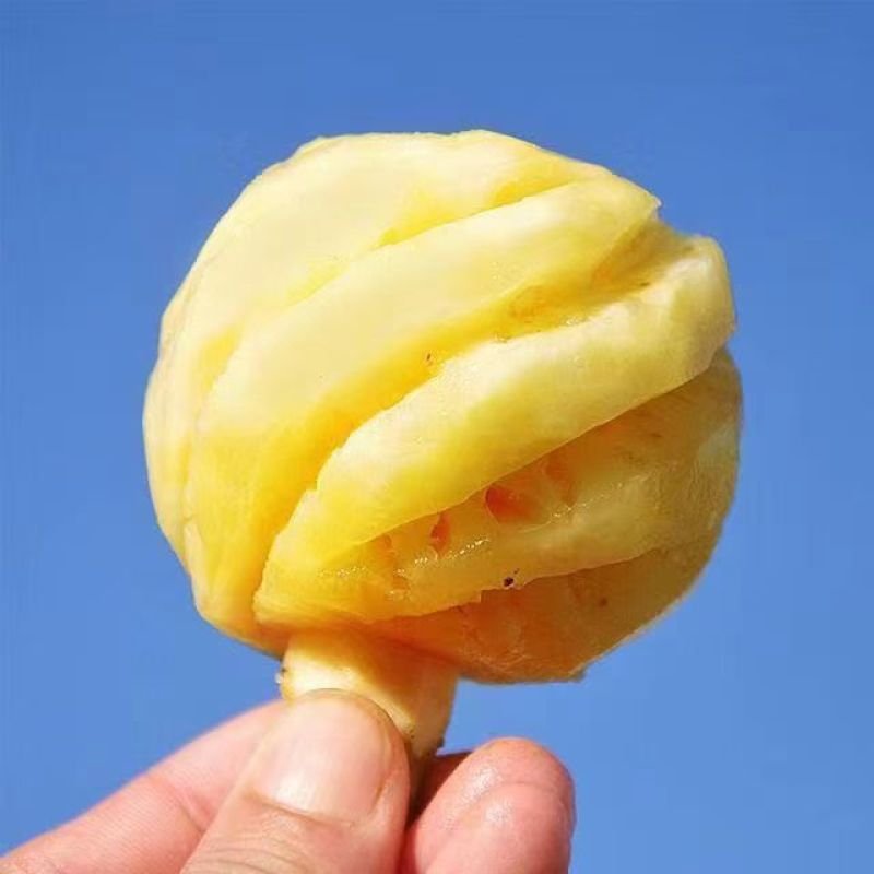 去皮小菠萝香水小菠萝去皮小菠萝迷你小菠萝产地直发