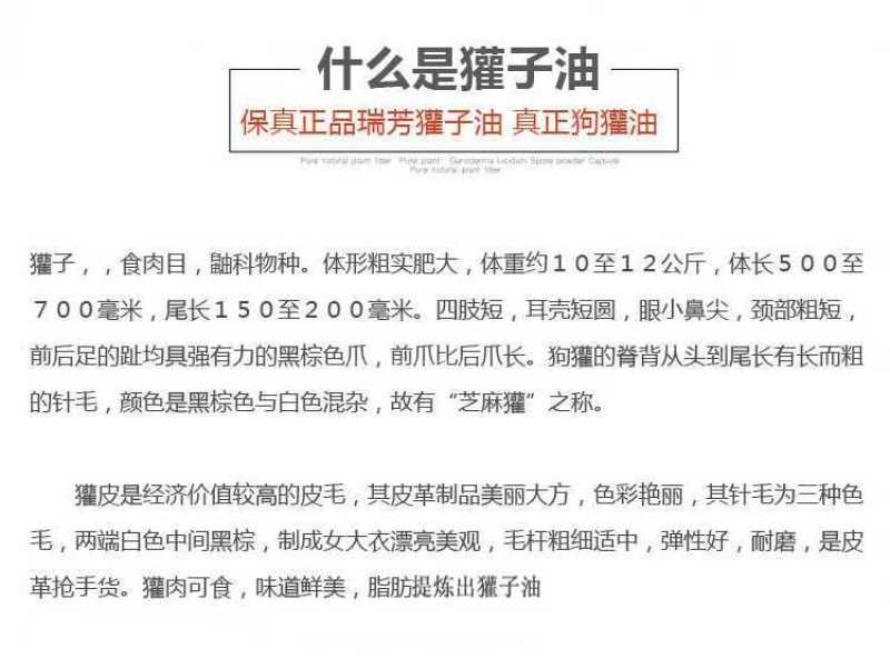 獾油2瓶共4两内有使用说明书