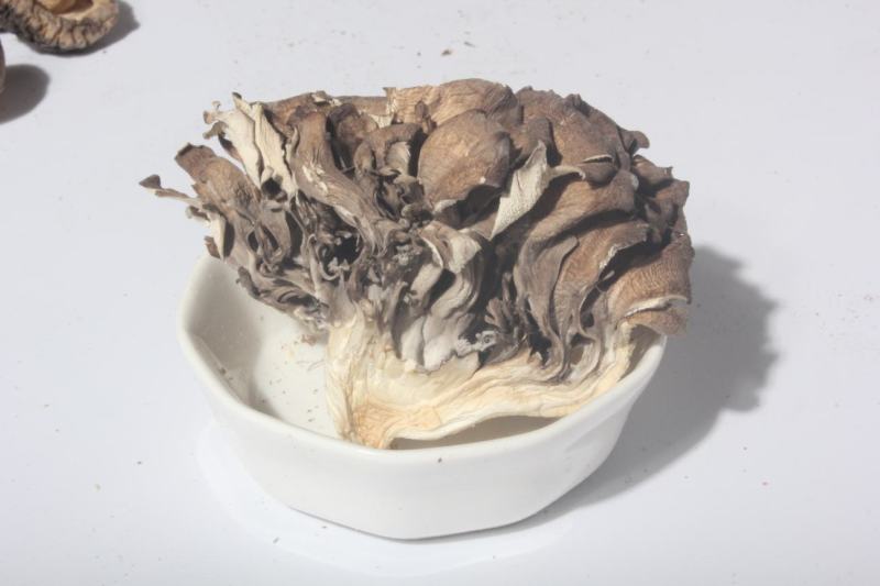 庆元灰树花栗蘑防抗癌食用菌干货基地种植直供