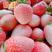 四季草莓苗奶油桃熏黑珍珠草莓露天阳台种植