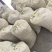 四川金堂新鲜花生红米花生两粒红新鲜花生水洗红米机洗花生