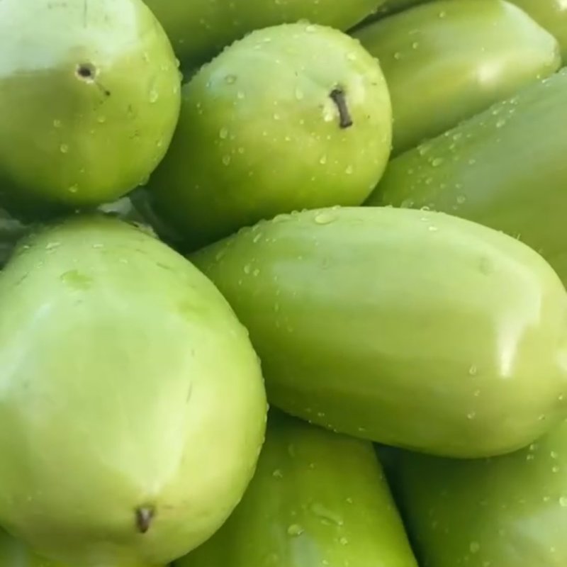 青茄精品青茄子产地直发保质保量代发全国