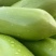 青茄精品青茄子产地直发保质保量代发全国