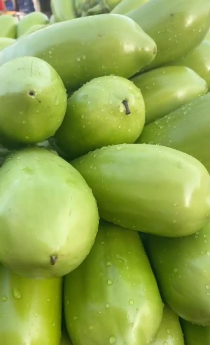 青茄精品青茄子产地直发保质保量代发全国