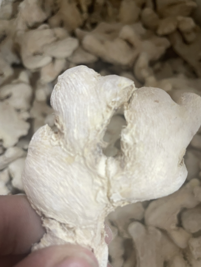 小黄姜云南小黄姜地摊云南高山小黄姜姜块姜干干姜姜片