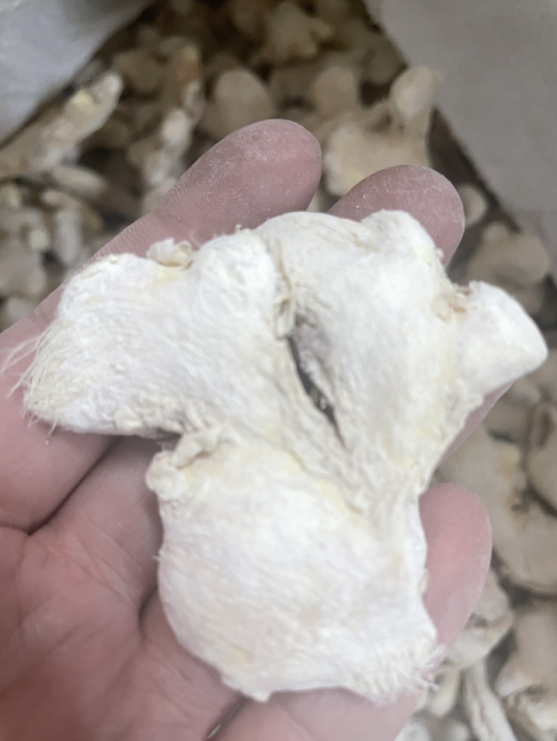 小黄姜云南小黄姜地摊云南高山小黄姜姜块姜干干姜姜片