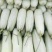 甜瓜博洋甜瓜江苏产地直发品类齐全