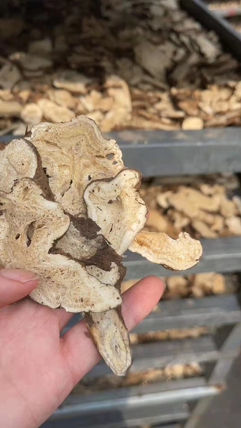 批发现货白术新货无杂质浙江白术片产地直销无硫磺