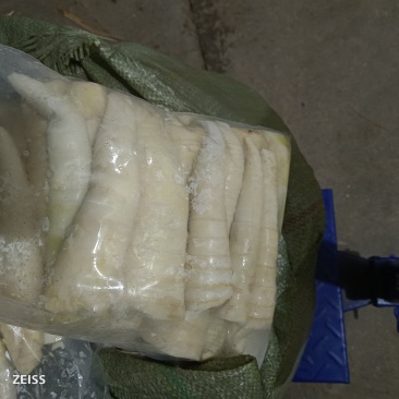 大量苦笋甜笋新鲜上市，批发量大价优