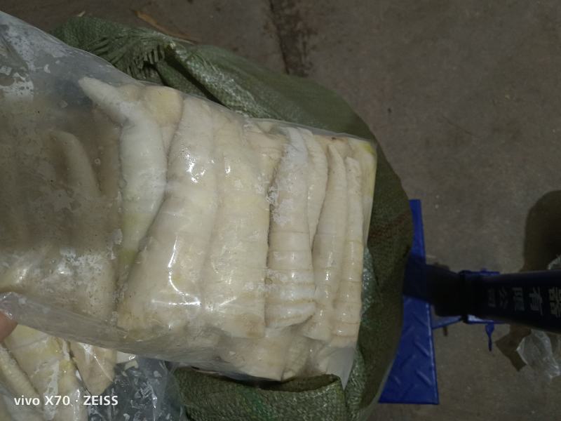 大量苦笋甜笋新鲜上市，批发量大价优