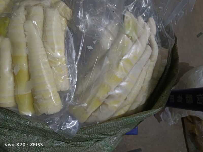 大量苦笋甜笋新鲜上市，批发量大价优
