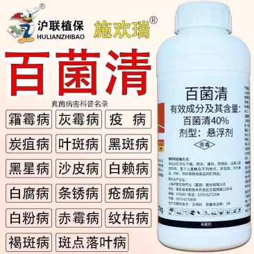 百菌清40悬浮剂柑橘霜霉病炭疽病白粉叶斑疫病通用杀菌剂