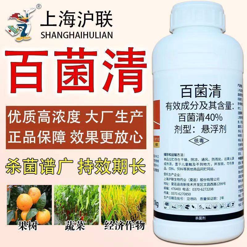 百菌清40悬浮剂柑橘霜霉病炭疽病白粉叶斑疫病通用杀菌剂