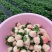 红颜草莓，奶油草莓，圣女果，浙樱粉，日本日本黄妃大量上市