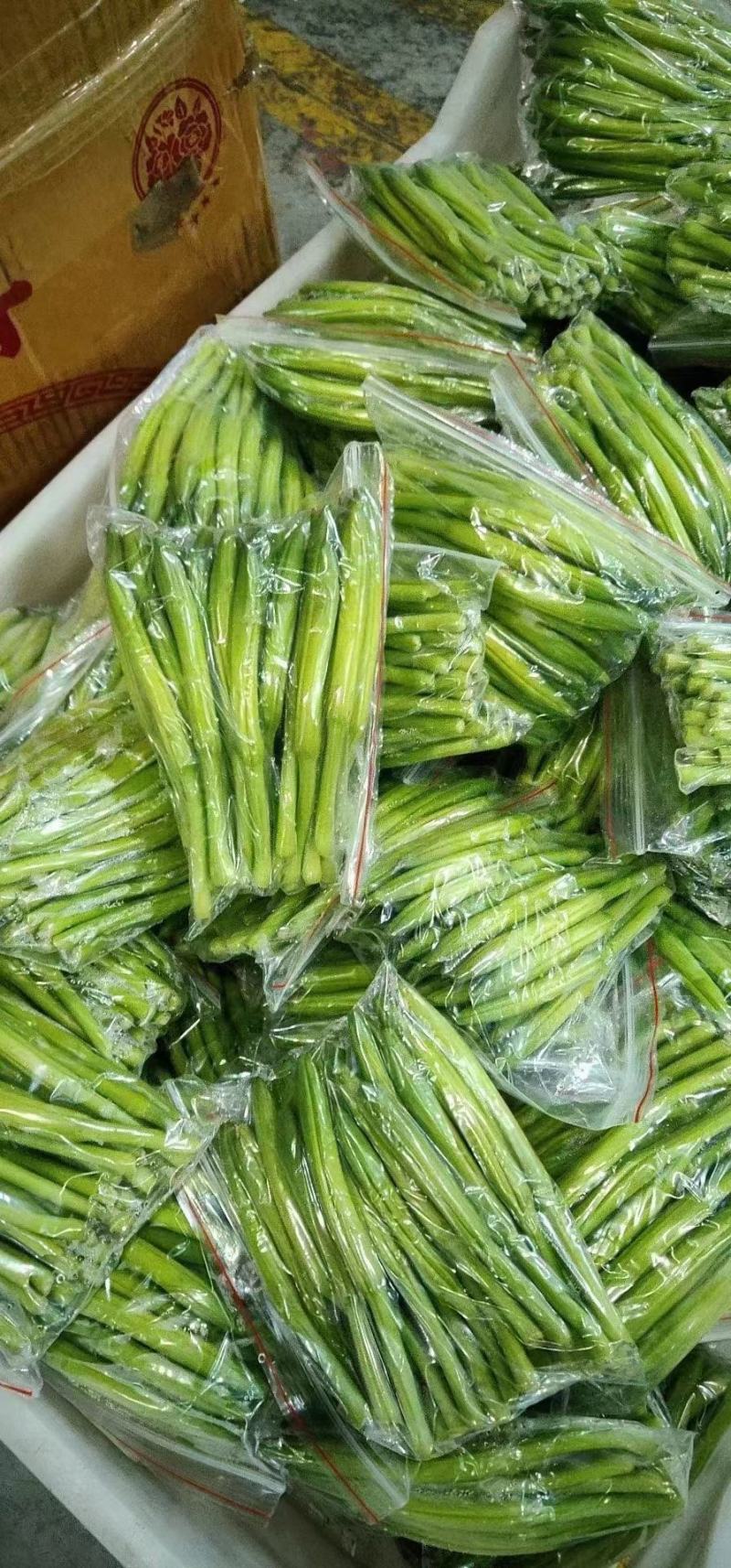 精品黄花菜大量上市诚信经营一手货源品质保证欢迎来电采购