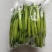 精品黄花菜大量上市诚信经营一手货源品质保证欢迎来电采购
