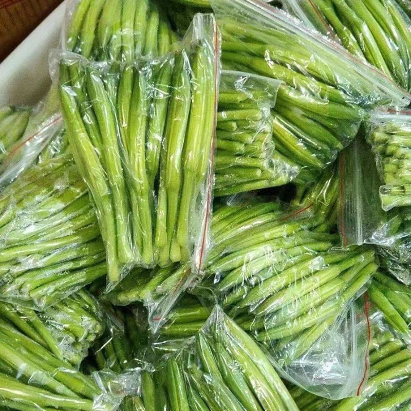 精品黄花菜大量上市诚信经营一手货源品质保证欢迎来电采购