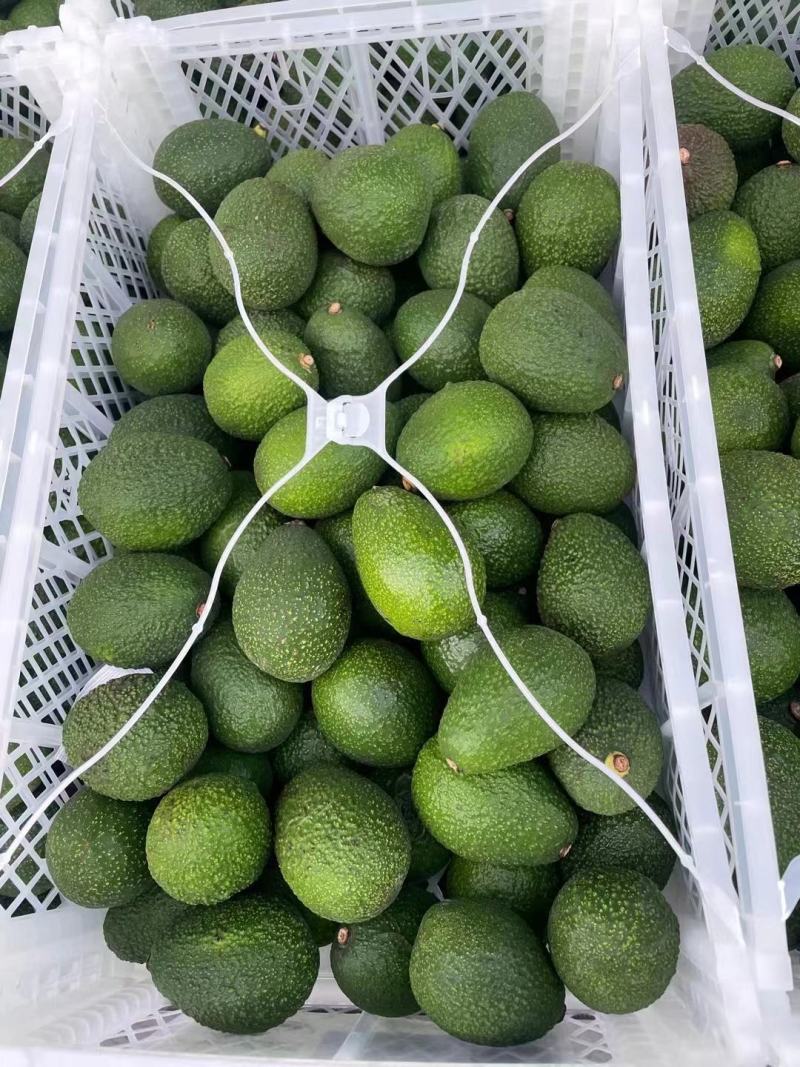 牛油果