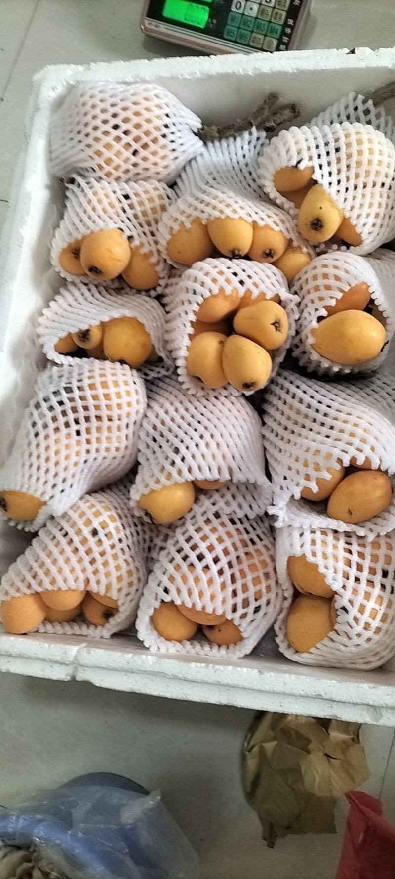 云南高原蒙自枇杷