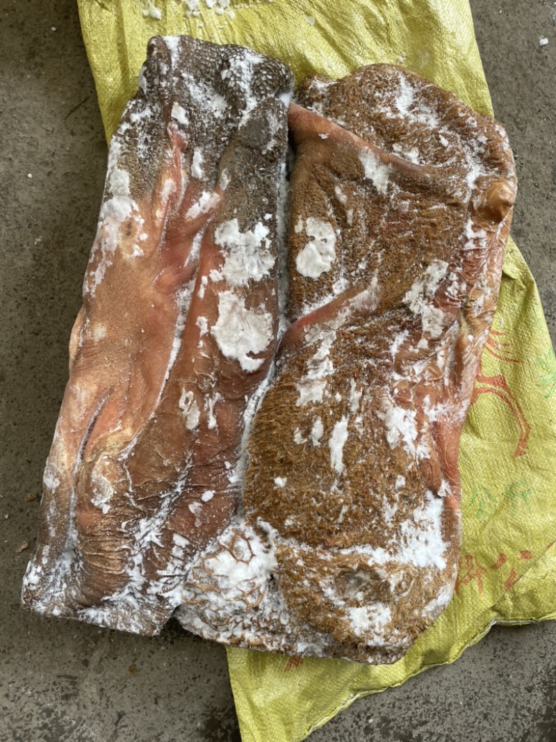 青藏高原高海拔牛副产品牦牛带毛牛肚纯干货