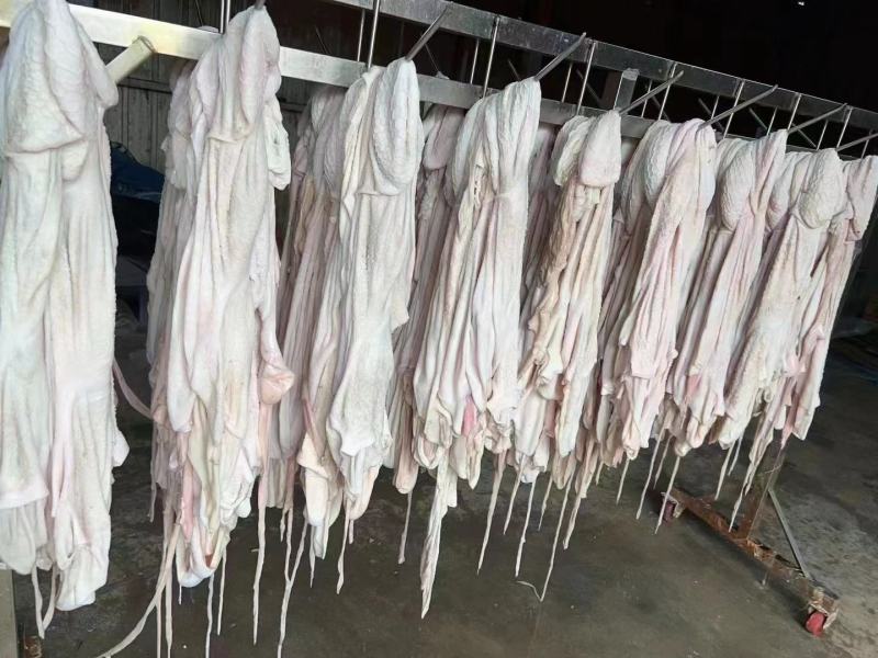 羔羊净肚免洗羊肚里外干净厂家直供
