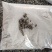 鼠妇虫鼠妇虫诱捕饵料一手货源，无效退款包回收