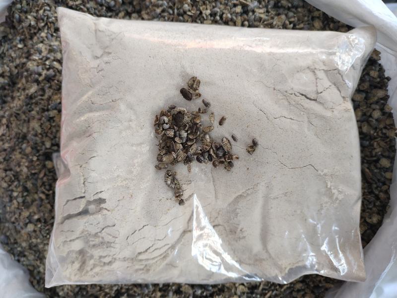 鼠妇虫鼠妇虫诱捕饵料一手货源，无效退款包回收