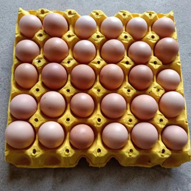 【开产蛋批发】土鸡蛋/净重30-32斤/京粉8号
