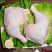 鸡边腿