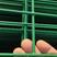 桃型护栏圈地围栏网铁丝网养殖围栏网