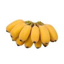 【产地】【一件代发】苹果蕉粉蕉广西香蕉新鲜应季水果