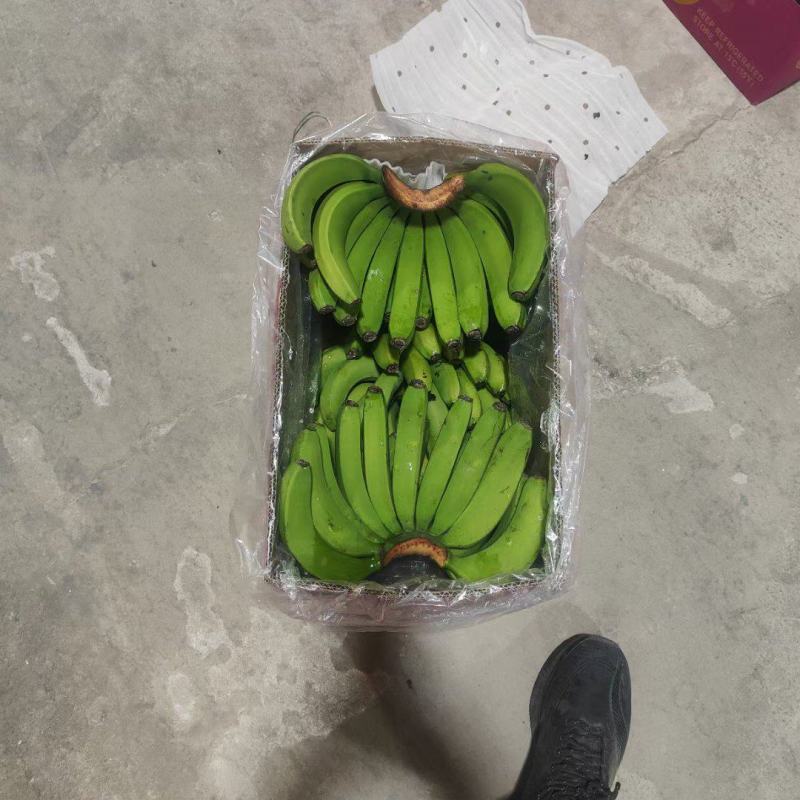 精品香蕉，生蕉，黄蕉。大量有货，需要联系