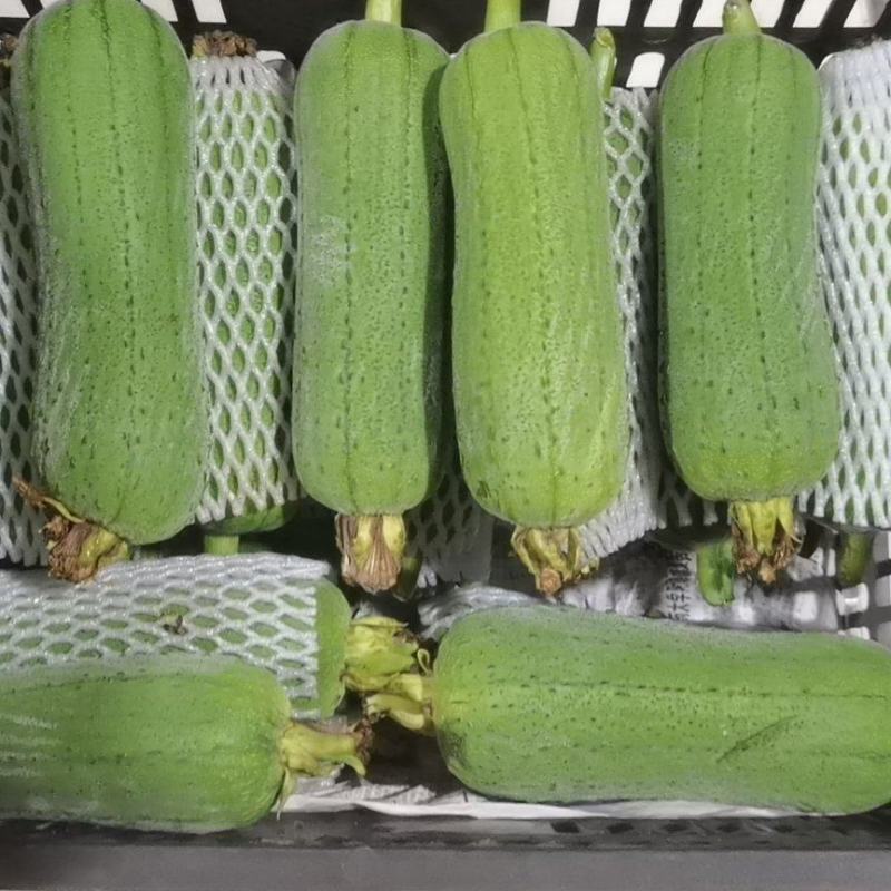 肉丝瓜