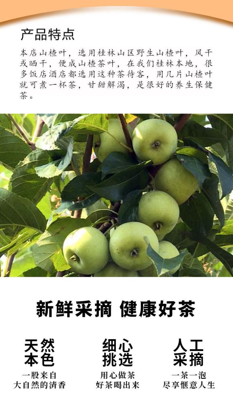 山楂叶茶