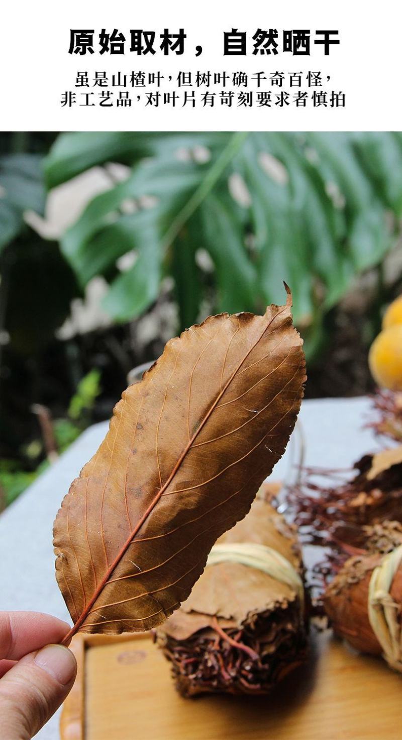 山楂叶茶