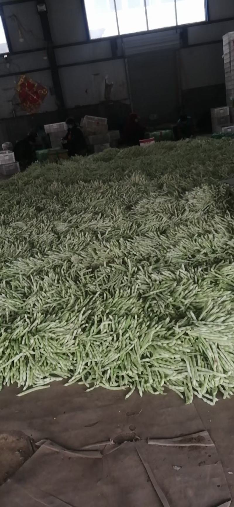 芸豆，