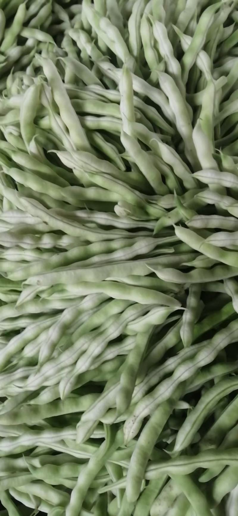 芸豆，