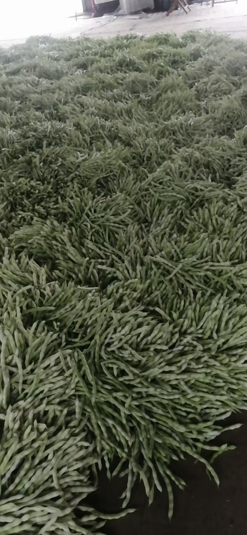 芸豆，