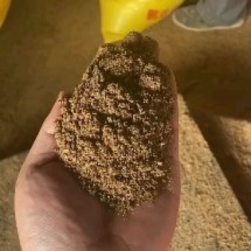 饲料级枣粉糖分高适口性好