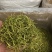 拉丝精品茶用银花