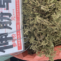 中药材伸筋草筋骨草正品新货透骨草舒筋草石松狮子