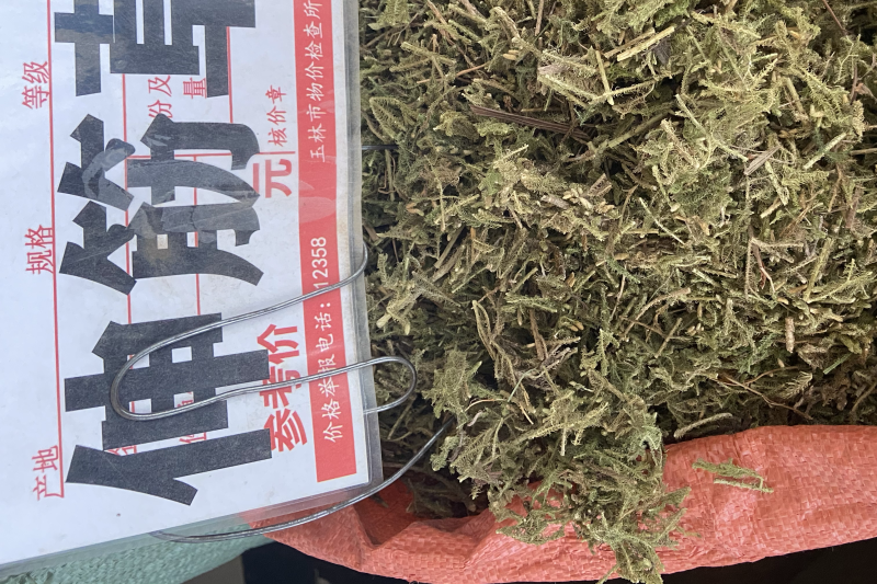 中药材伸筋草筋骨草正品新货透骨草舒筋草石松狮子