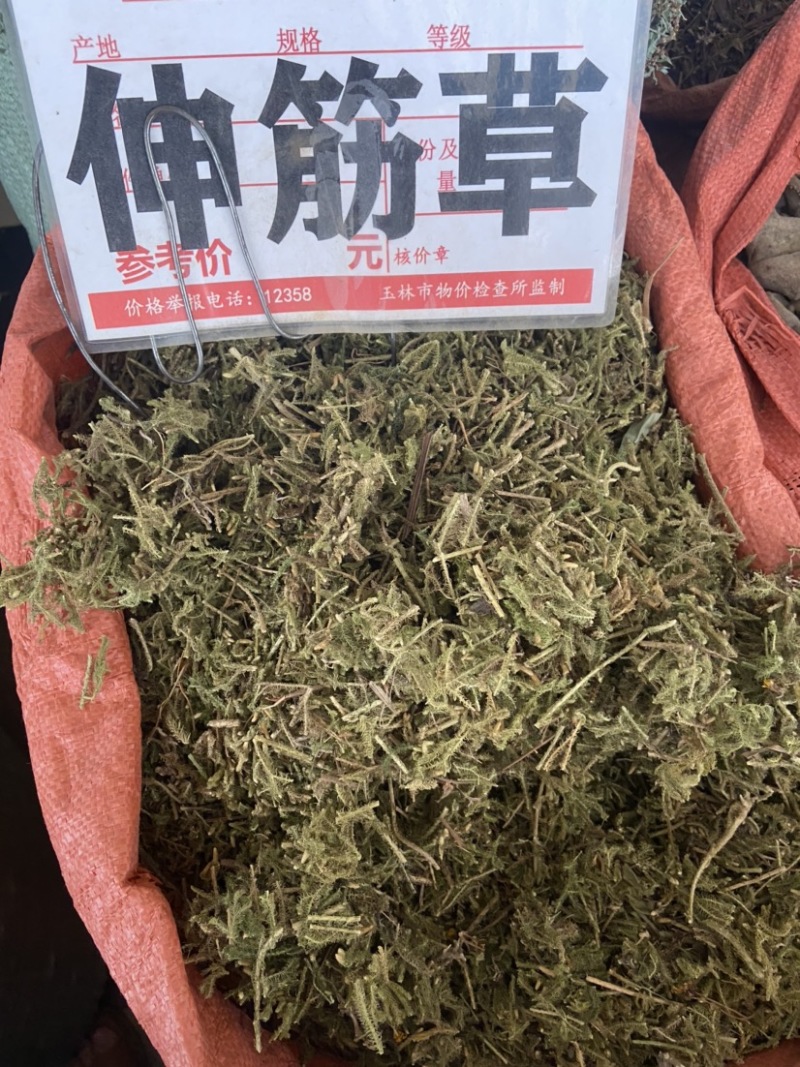 中药材伸筋草筋骨草正品新货透骨草舒筋草石松狮子