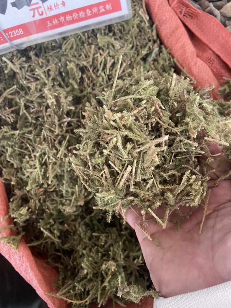 中药材伸筋草筋骨草正品新货透骨草舒筋草石松狮子
