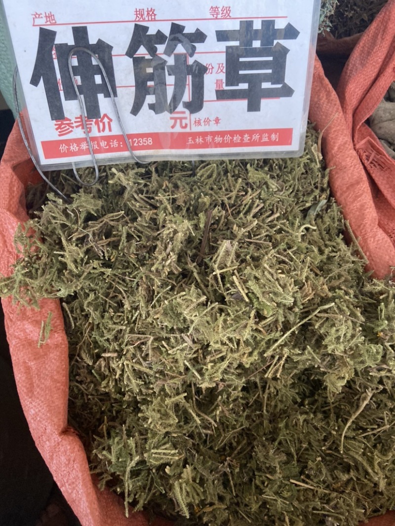 中药材伸筋草筋骨草正品新货透骨草舒筋草石松狮子