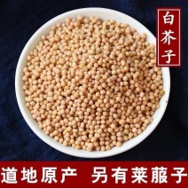 瑾泽仁中药材优质黄白芥子500g新货芥菜子无硫干净