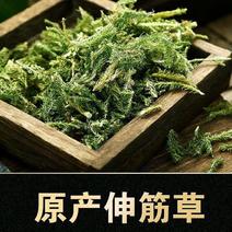 中草药伸筋草瑾泽仁舒筋草新货色青无杂诚信品质