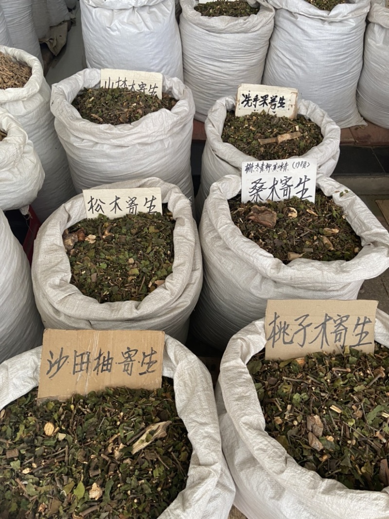 松木寄生桃木寄生杉木寄生五指毛桃寄生等各种寄生