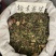 松木寄生桃木寄生杉木寄生五指毛桃寄生等各种寄生
